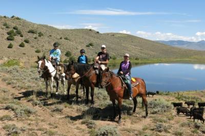 Horseback Riding & Tours in Copper Mountain