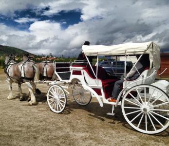 Hayrides & Carriage Rides in Vail / Beaver Creek